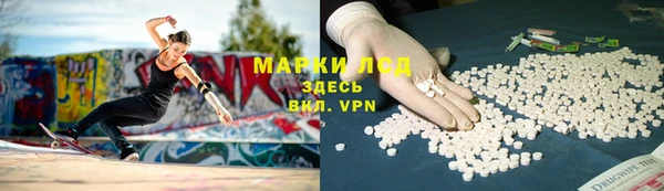 гидропоника Гусев