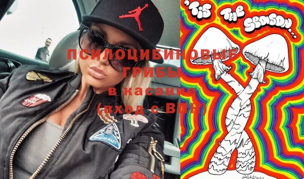 гидропоника Гусев
