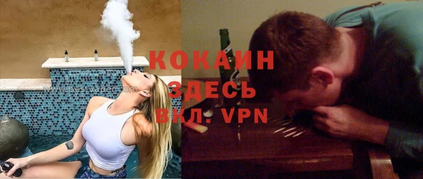 гидропоника Гусев