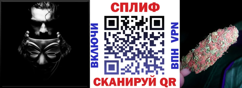 Бошки Шишки семена  купить наркоту  Олёкминск 